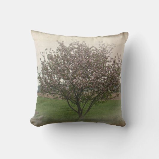 Apple Treeの開花 クッション (正面)