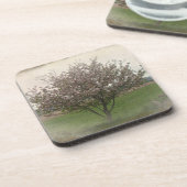 Apple Treeの開花 コースター (左側)