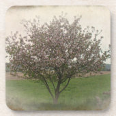 Apple Treeの開花 コースター (正面)