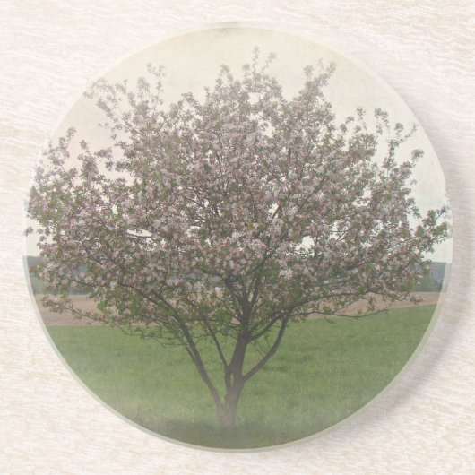 Apple Treeの開花 コースター (正面)