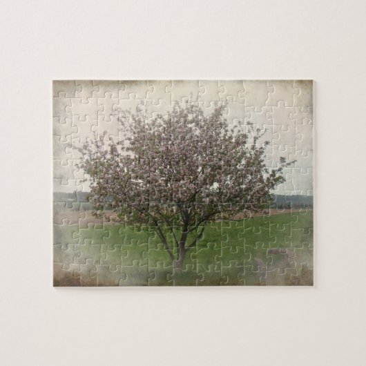 Apple Treeの開花 ジグソーパズル (横)