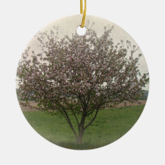 Apple Treeの開花 セラミックオーナメント (正面)