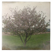 Apple Treeの開花 タイル (正面)