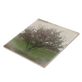 Apple Treeの開花 タイル (側面)