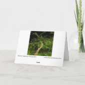 Apple Tree:デジタル拡張編集ツイストツリー カード (裏面)