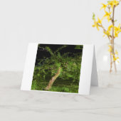 Apple Tree:デジタル拡張編集ツイストツリー カード (黄色い花)