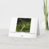 Apple Tree：デジタル拡張編集ツイストツリー カード (裏面)