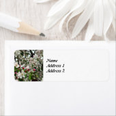 Apple Tree In開花日付の保存 ラベル (インサイチュ)