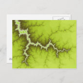 Apple Tree Rootsはがき ポストカード (正面/裏面)