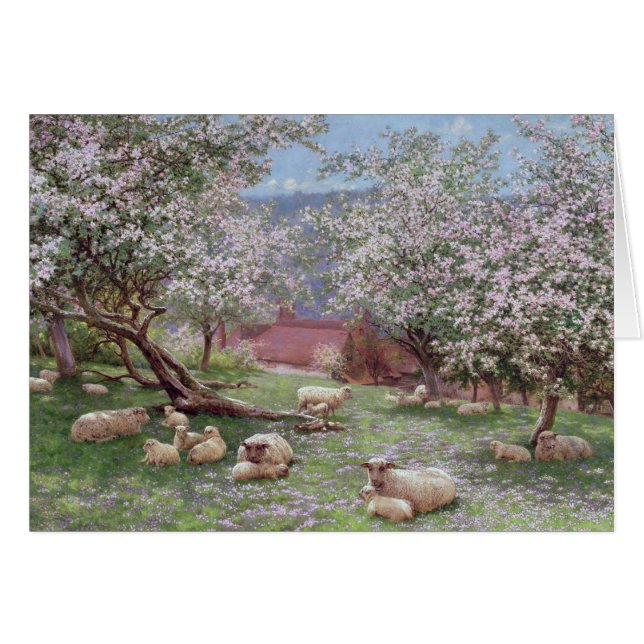 Appleblossom (正面横)