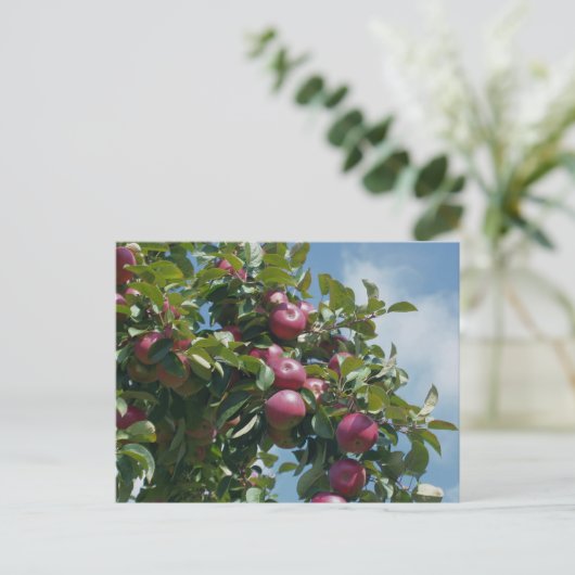 Apples On The Tree Nature Personalized ポストカード (スタンド正面)