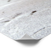 apples poster print ポスター (角)