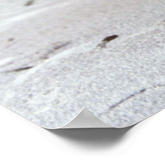 apples poster print ポスター (角)