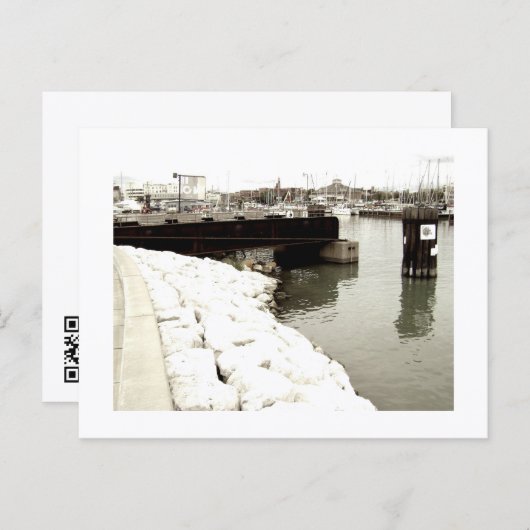 Approachable Wolf Post Card Print ポストカード (正面/裏面)