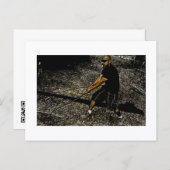 Approachable Wolf Post Card Print ポストカード (正面/裏面)