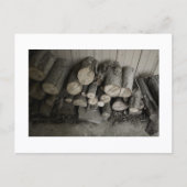 Approachable Wolf Post Card Print ポストカード (正面)