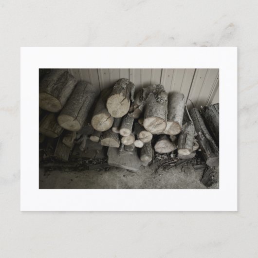 Approachable Wolf Post Card Print ポストカード (正面)