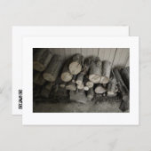 Approachable Wolf Post Card Print ポストカード (正面/裏面)