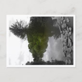 Approachable Wolf Post Card Print ポストカード (正面)