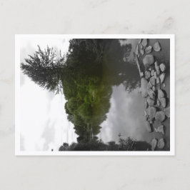 Approachable Wolf Post Card Print ポストカード