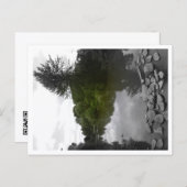 Approachable Wolf Post Card Print ポストカード (正面/裏面)