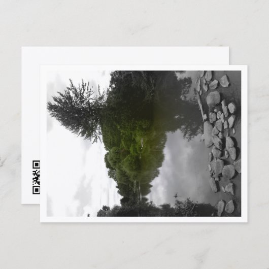 Approachable Wolf Post Card Print ポストカード (正面/裏面)