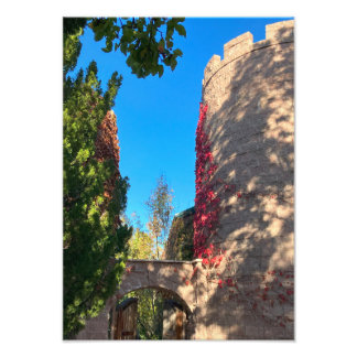 Approaching the Keep フォトプリント