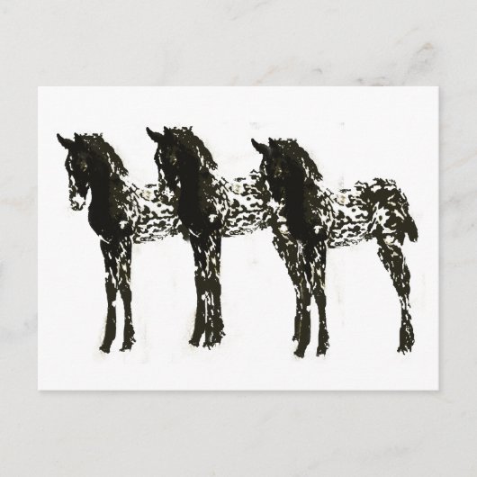 Appy子馬 ポストカード (正面)