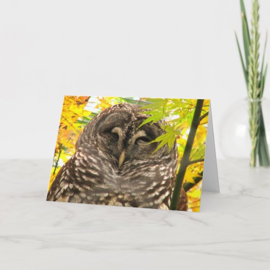 Appy Owlidays シーズンカード (正面)