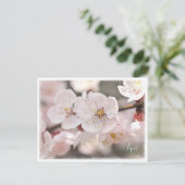 Apricot ポストカード (スタンド正面)