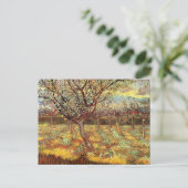 Apricot Trees in Blossom by Vincent van Gogh ポストカード (スタンド正面)