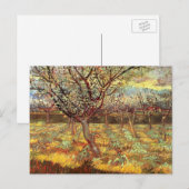 Apricot Trees in Blossom by Vincent van Gogh ポストカード (正面/裏面)