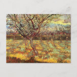 Apricot Trees in Blossom by Vincent van Gogh ポストカード<br><div class="desc">Apricot Trees in Blossom by Vincent van Gogh is a vintage fine art post impressionism landscape nature painting. Fruit trees in bloom with beautiful flowers in an orchard grove on a farm in the spring. About the artist: Vincent Willem van Gogh (1853 -1890) was one of the most famous Post...</div>