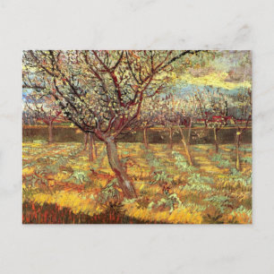 Apricot Trees in Blossom by Vincent van Gogh ポストカード