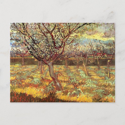 Apricot Trees in Blossom by Vincent van Gogh ポストカード (正面)