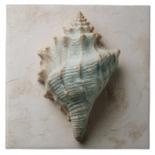 Aqua and Sand Coastal Conch Shell タイル (正面)