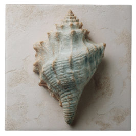 Aqua and Sand Coastal Conch Shell タイル