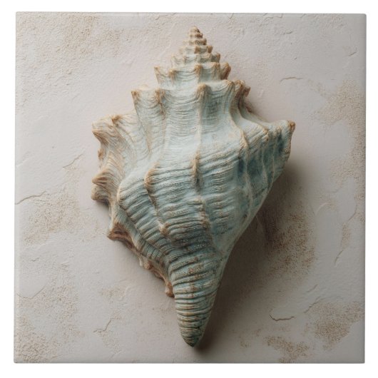 Aqua and Sand Coastal Conch Shell タイル (正面)