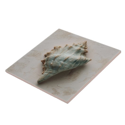Aqua and Sand Coastal Conch Shell タイル (側面)