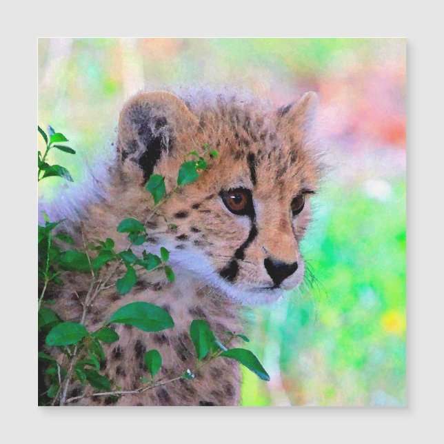 Aqua_Cheetah_20180102 (正面)