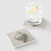 Aqua Conch Shell Coastal Art ストーンコースター (横)