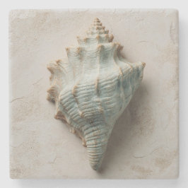 Aqua Conch Shell Coastal Art ストーンコースター