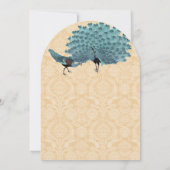 Aqua Peacocks選択した背景色 招待状 (裏面)