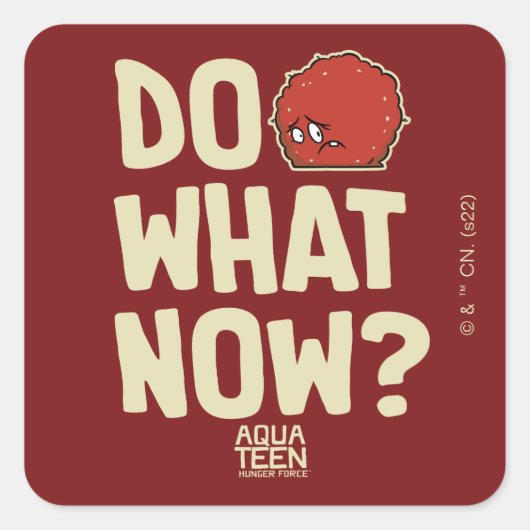 Aqua Teen Hunger Force Meatwad "Do What Now?" スクエアシール (正面)