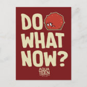 Aqua Teen Hunger Force Meatwad "Do What Now?" ポストカード (正面)
