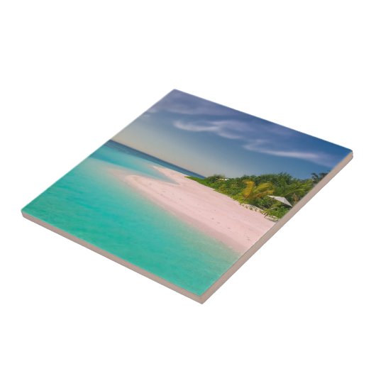 Aquamarine Ocean Tropical Beach Scenic タイル (側面)