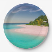 Aquamarine Ocean Tropical Beach Scenic ペーパープレート (正面)