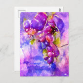 Aquarell. Gemalte Weintrauben in blau und lila. ポストカード (正面/裏面)