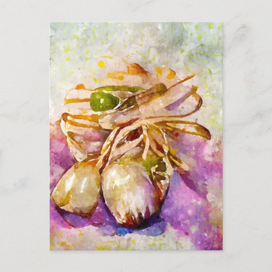 Aquarell. Knoblauch gemalt. Knoblauchzehe. ポストカード (正面)