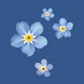 Aquarell Vergissmeinnicht Blüten - dunkelblau 壁紙